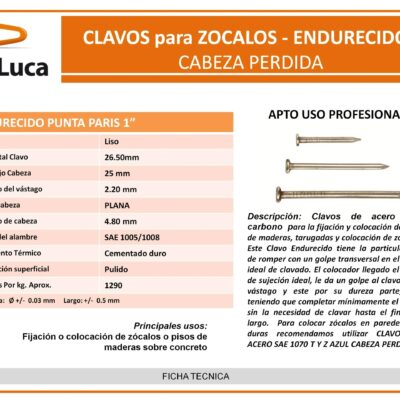 CLAVO PUNTA PARIS DE 1` BOLSA X 1 KG.
