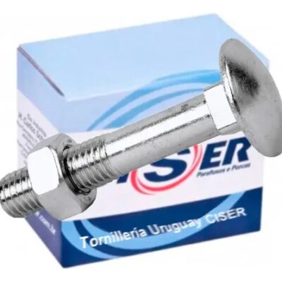 BULON CABEZA REDONDA GALV 3/8 X 2 X 100