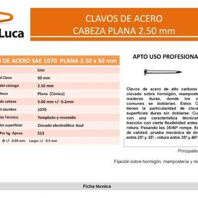 CLAVO DE ACERO CAB. PLANA 2,50 X 60 X 100 UN.