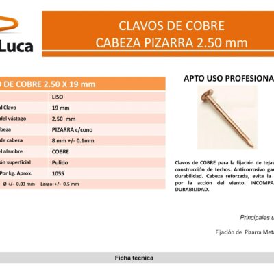 CLAVO DE COBRE PIZARRA 1` X 1 KG.