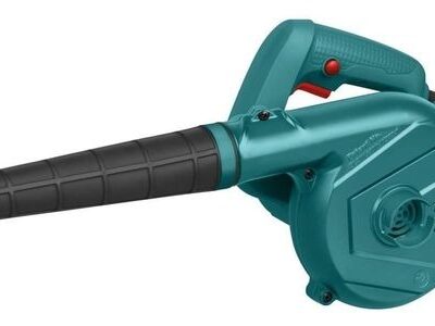 SOPLADOR/ASPIRADOR ELECTRICO 600 W. `DOWEN`