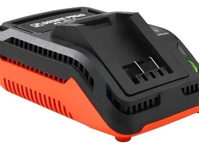 CARGADOR DE BATERIAS FLEX ONE `DOWEN`