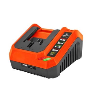 CARGADOR DE BATERIAS DOBLE 100 WATTS `DOWEN`